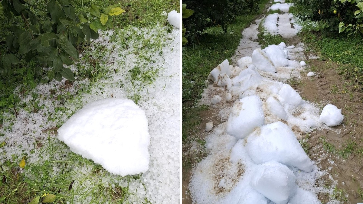 Maltempo devasta Rocca Imperiale: agricoltura in ginocchio - Foto Uff. Stampa Ufficio Stampa Cia Calabria Nord