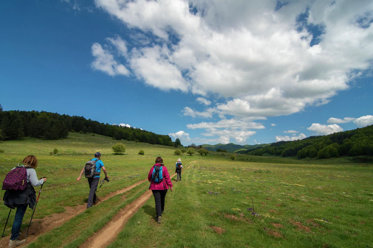 A Sorbo San Basile Ecoritmi Culturali, festival tra natura e arte - Foto: Ufficio stampa Associazione Demetra