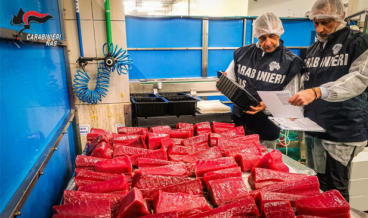 Catanzaro - Sequestrati 15 kg di prodotti ittici - Foto: Ufficio stampa Carabinieri Catanzaro