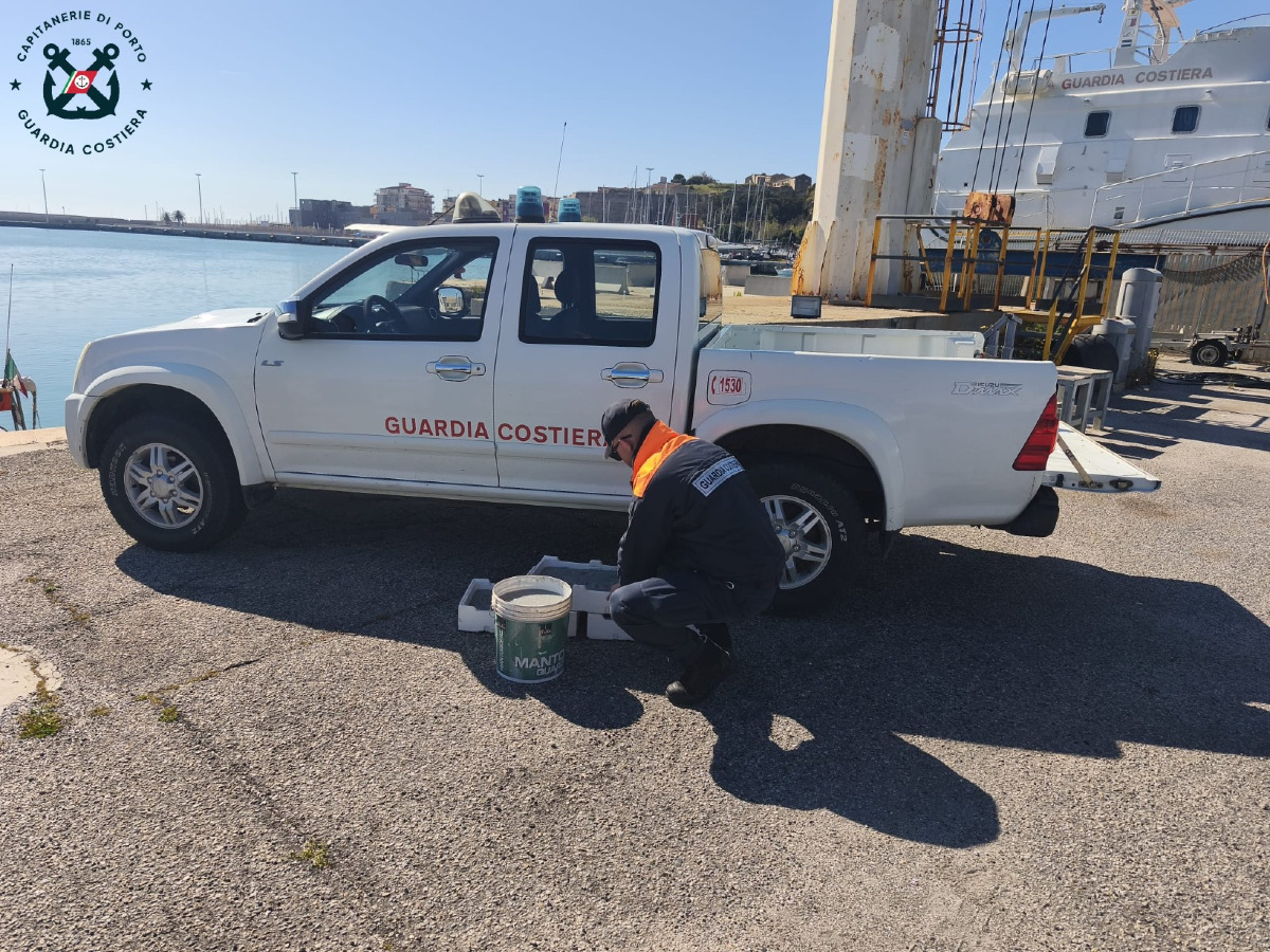 Strongoli - Blitz della Guardia Costiera, sequestrati 65 kg di novellame - Foto: Ufficio stampa Capitaneria di Porto Crotone
