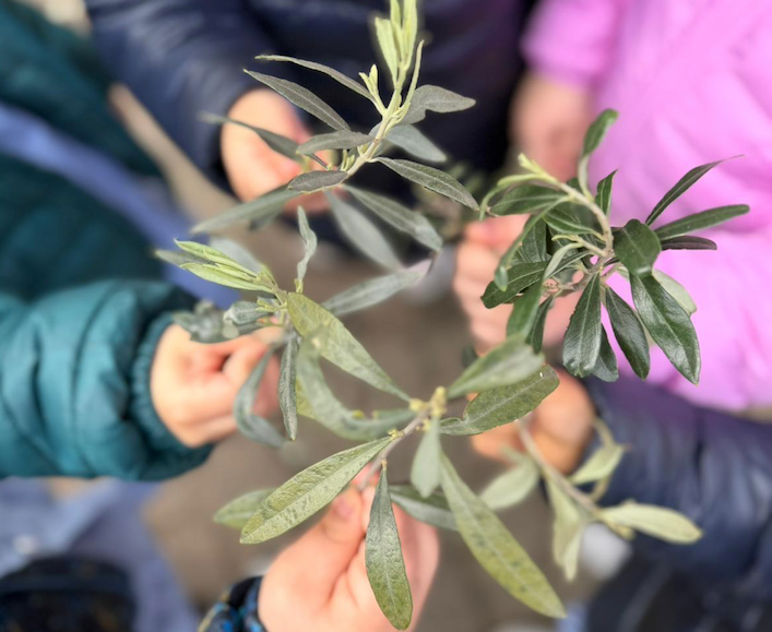 Corigliano-Rossano, Domenica delle Palme: al Polo Magnolia un laboratorio tra creatività e comunità - Foto: Uff. Stampa Pedagogista Teresa Pia Renzo 