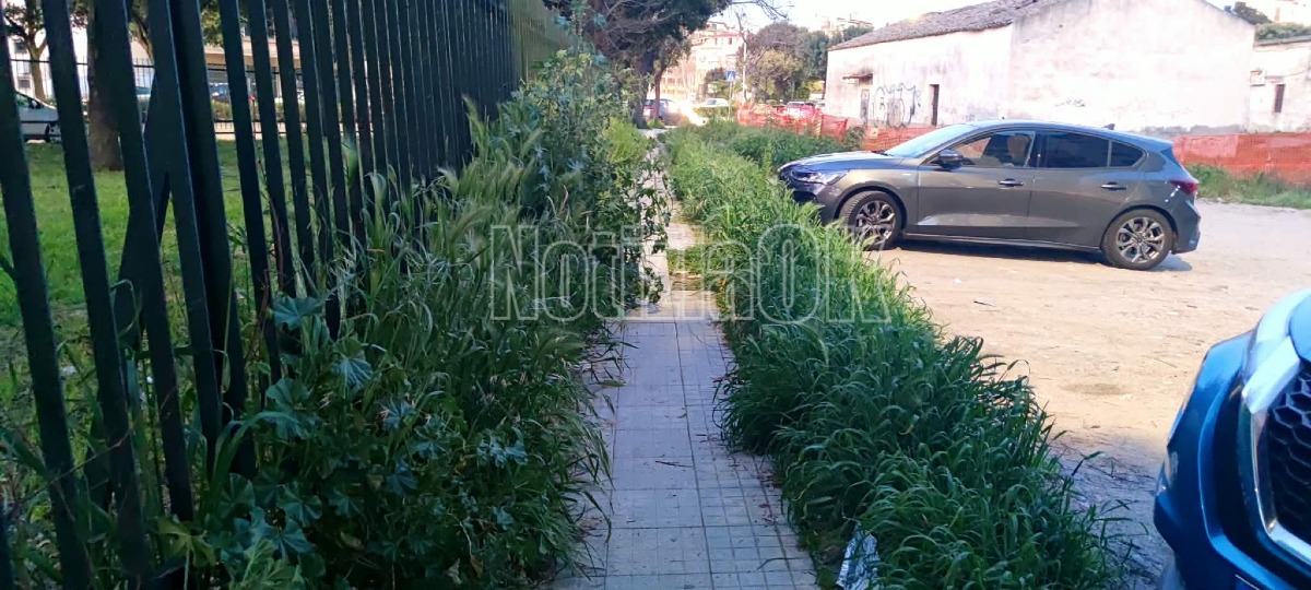 Nei Quartieri di Crotone - Via Bologna, marciapiedi deformati immersi nel verde - Foto: Redazione