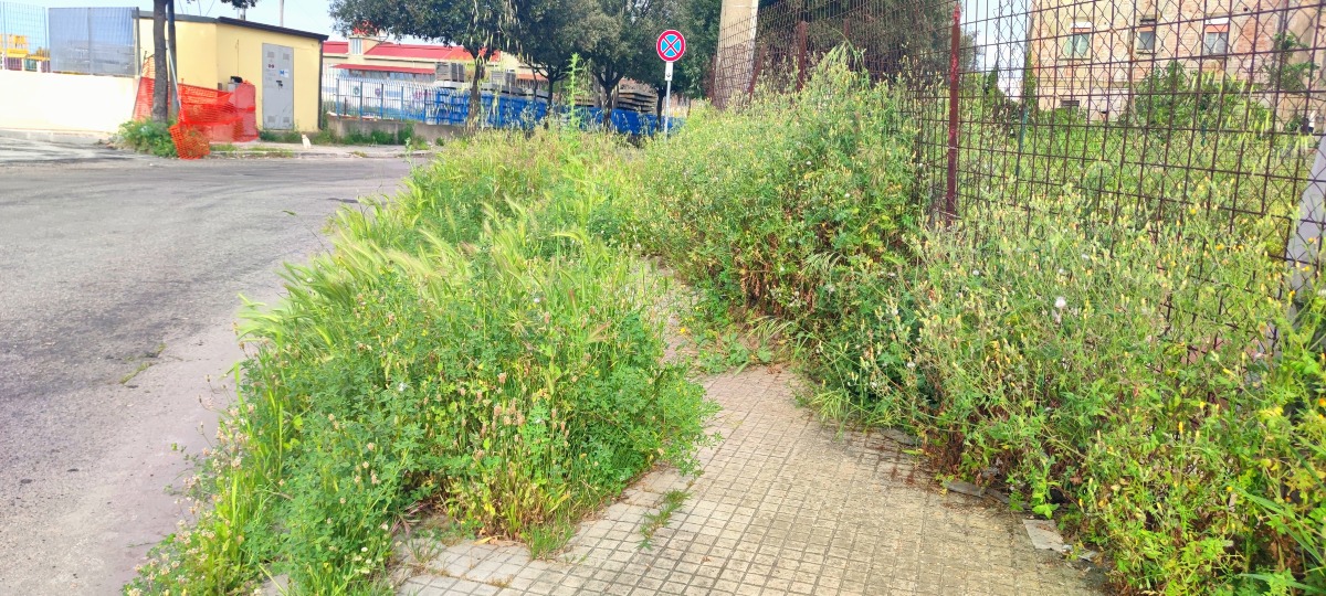 Nei Quartieri di Crotone: viale stazione, biglietto da visita della città  - Foto: Redazione 