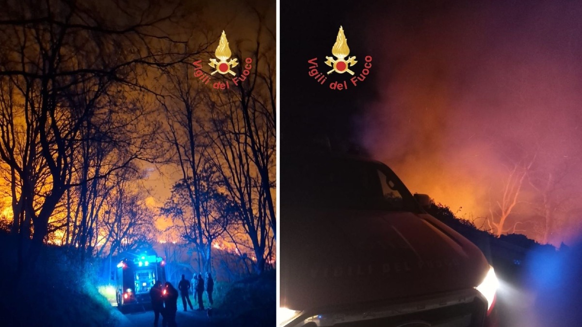 (VIDEO) Incendio tra Martirano Antico e Conflenti, notte di paura - Foto Uff. Stampa Vigili del fuoco Catanzaro