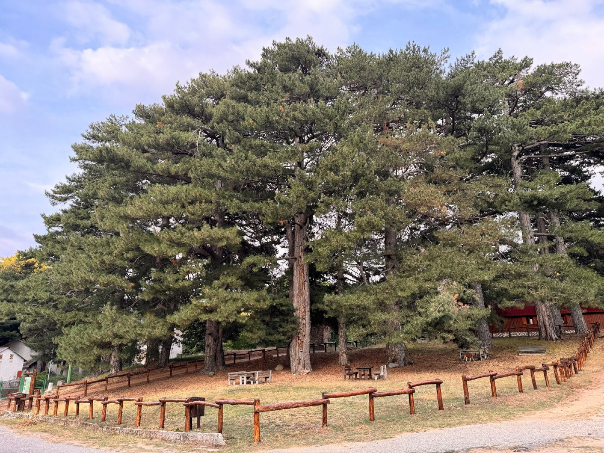 Petilia Policastro «sempre più connessa e moderna» - Foto: Ufficio stampa Comune di Petilia Policastro