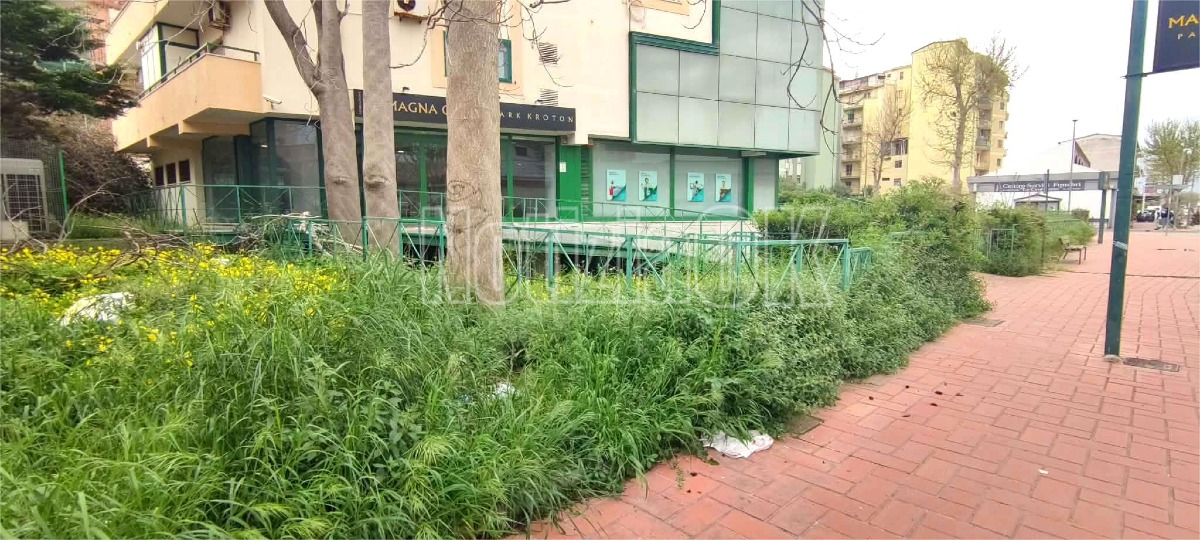 Nei Quartieri di Crotone - Tesori archeologici dimenticati nel cuore della città - Foto: Redazione