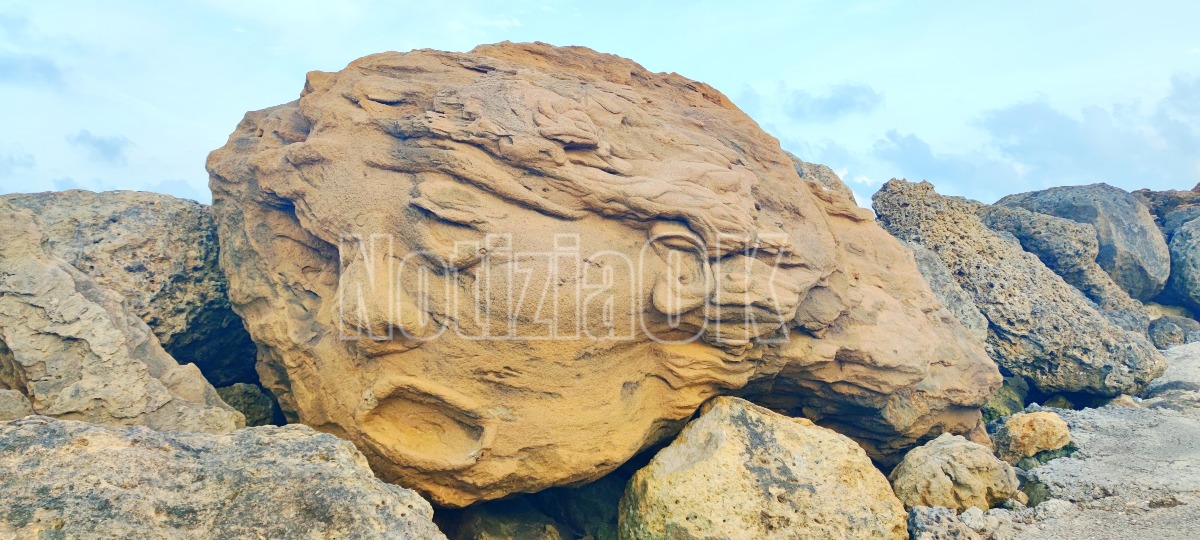 Le Cannella, il volto di Zaira vive nel ricordo dell'artista Pascuzzi - Foto: Redazione 