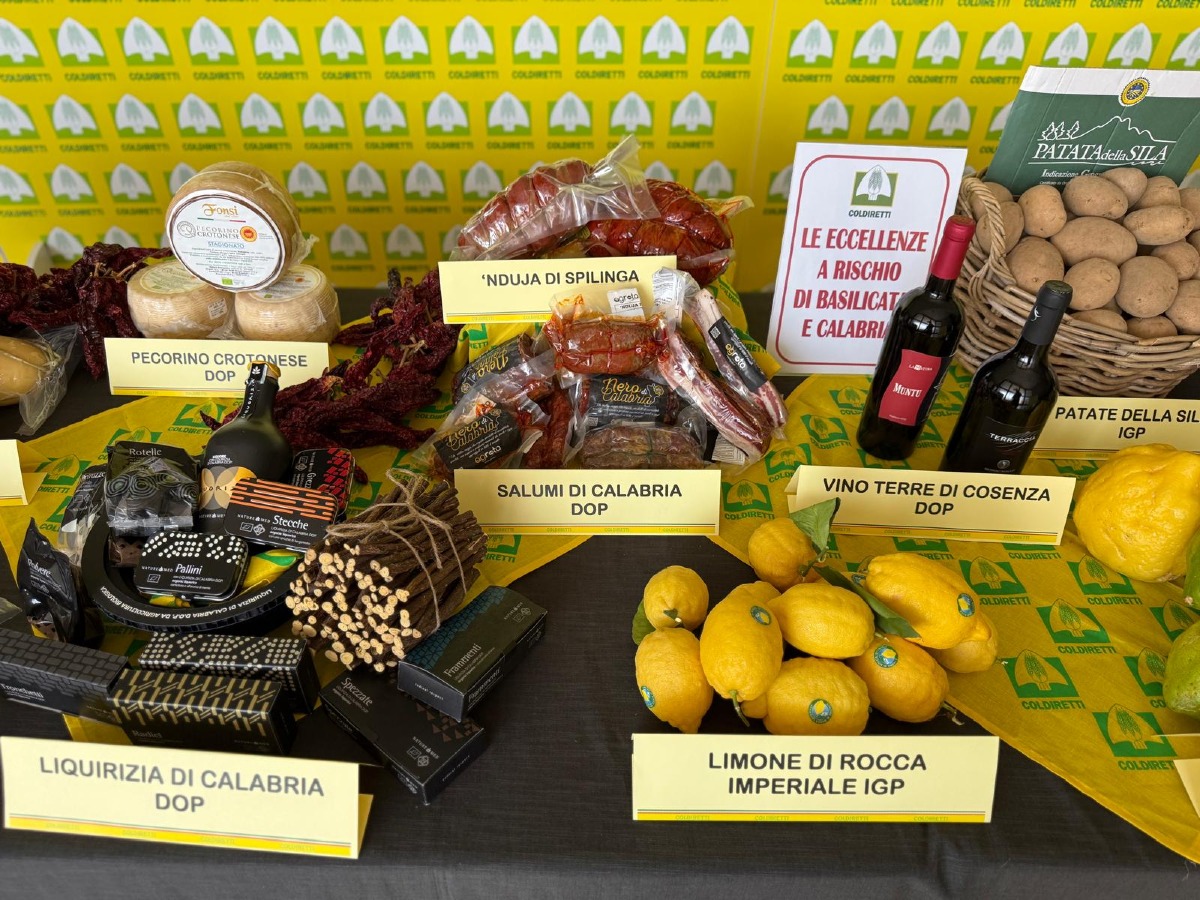 Coldiretti Calabria, giro di vite sull’agropirateria: approvata la legge “Caselli” - Foto: Uff. Stampa Coldiretti Calabria