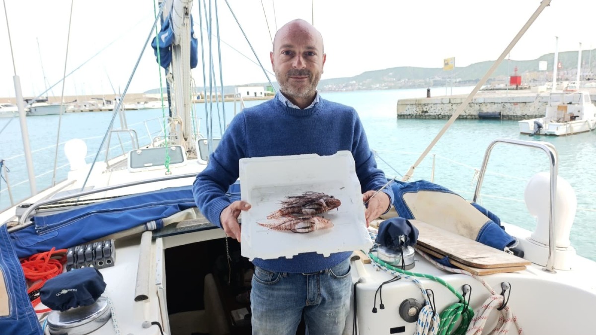 Due esemplari di pesce leone catturati al largo di Crotone, l’allarme del Circolo Ibis - 
