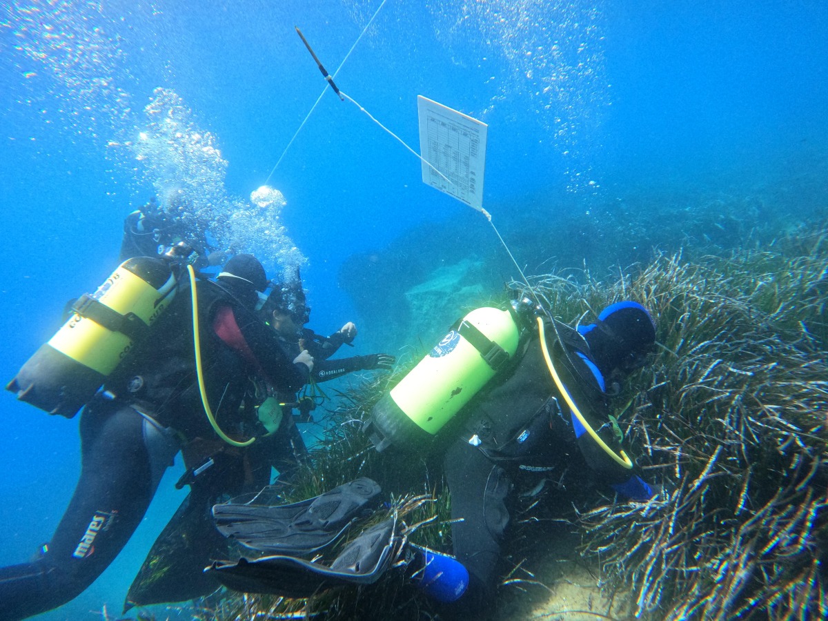 EDIPO: Progetto calabrese per la tutela degli Ecosistemi Marini in Europa - Foto: Uff. Stampa Parchi Marini della Calabria