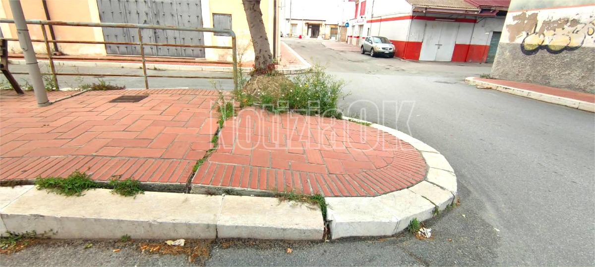 Nei Quartieri di Crotone - Marciapiede danneggiato e albero pericolante in via Mario Nicoletta - Foto: Redazione