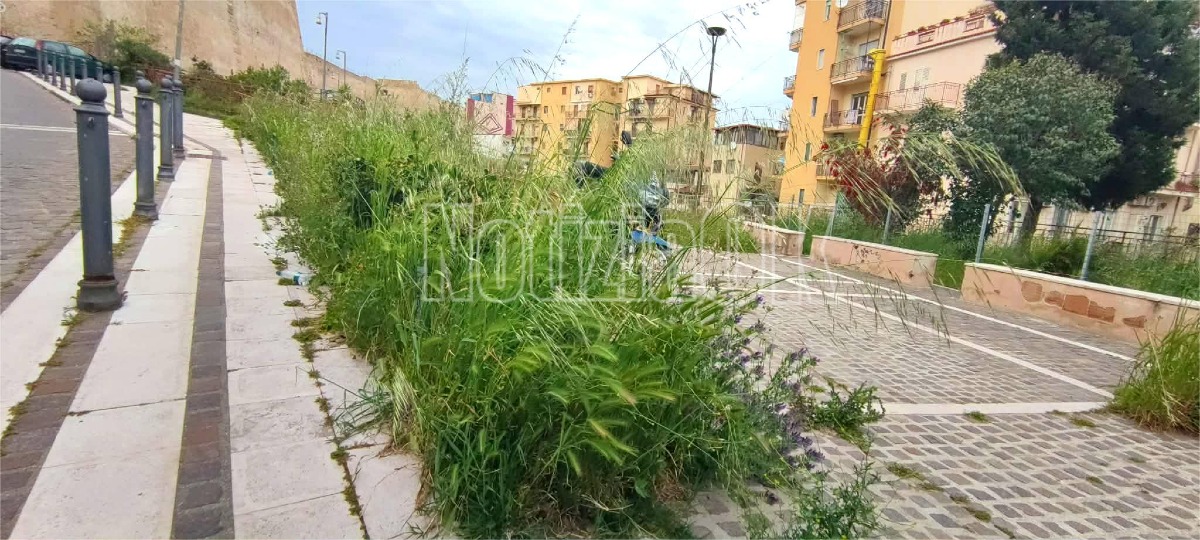Nei Quartieri di Crotone - In alcune zone  il verde diventa "eccessivo" - Foto: Redazione