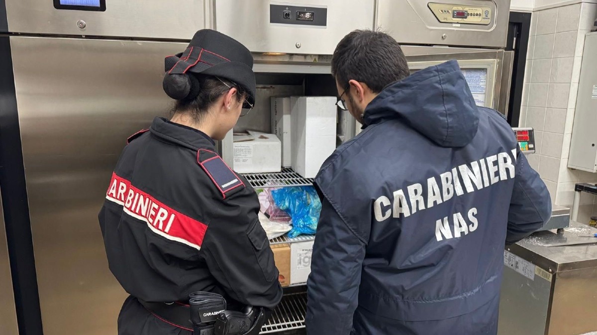 Controlli straordinari a Lamezia Terme: multe e irregolarità -  Foto Uff. Stampa Lamezia Terme