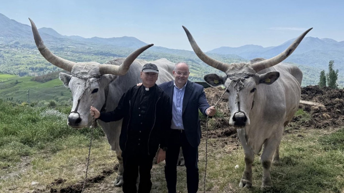 Settennale, Costantino e Argento traineranno il Quadro della Madonna di Capo Colonna  - Foto Santuario Madonna di Capo Colonna 