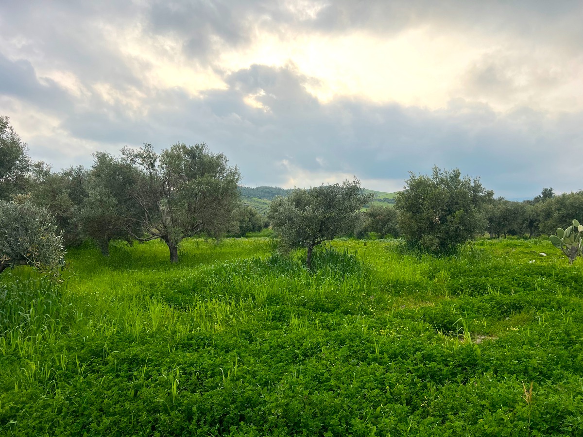 Il Gal Serre Calabresi seleziona il sito pilota italiano per il progetto TAGsTwo - Foto: Uff. Stampa Gal Serre Calabresi