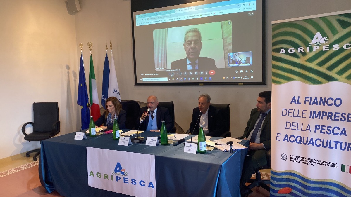 Pesca artigianale e parchi marini, la Calabria punta su un nuovo ruolo per le marinerie - Foto: Uff. Stampa Ente Parchi Marini della Calabria