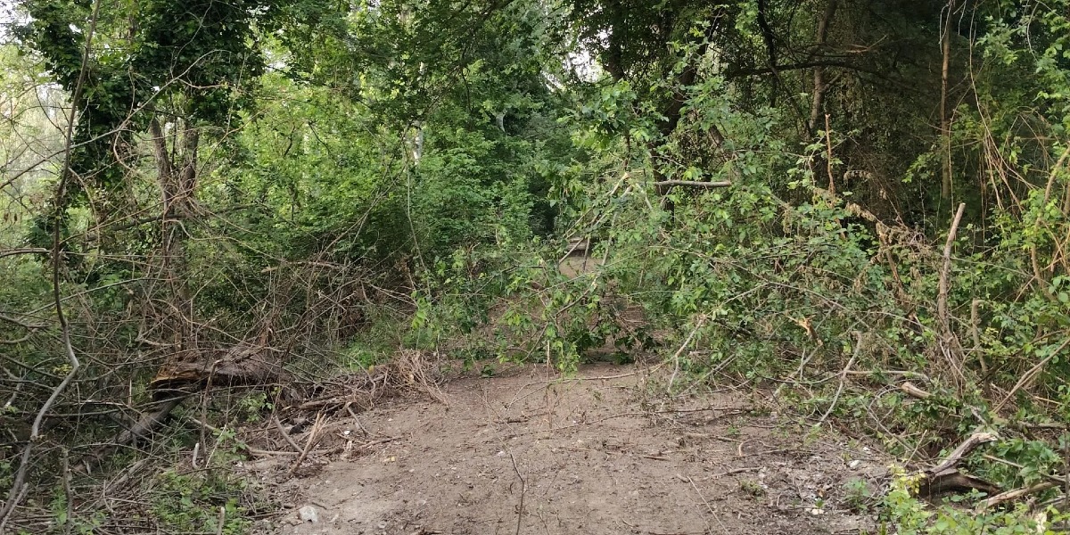 Cassano all’Ionio, Papasso: argini del Crati a rischio, servono interventi urgenti - Foto Uff. Stampa Davide Papasso 