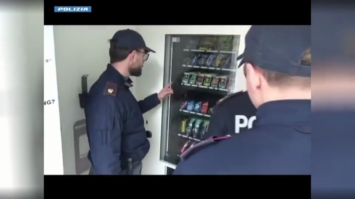 (VIDEO) Distributori automatici di cannabis light: sequestro e denuncia a Crotone - Foto Uff. Stampa Polizia di Stato 