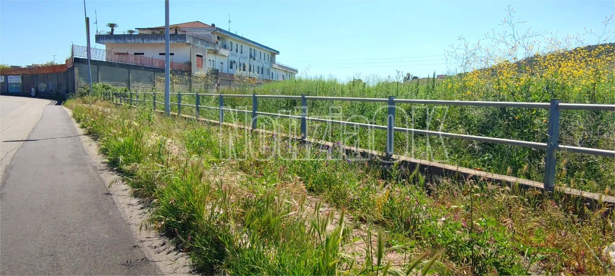 Nei Quartieri di Crotone - Via Antonio Meucci nel degrado: erba alta e rifiuti abbandonati - Foto: Redazione