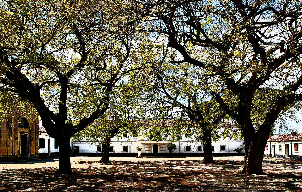 Dimore storiche aperte in Calabria: "museo diffuso" in tutte le città della Regione - Foto: Uff. Stampa Associazione Dimore Storiche Italiane
