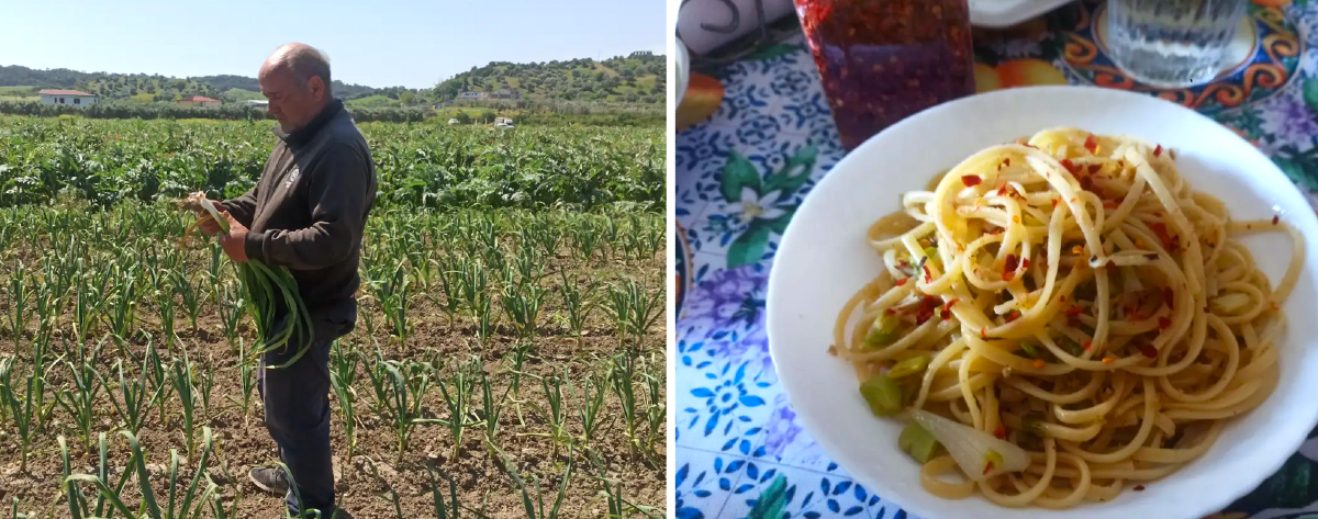 “L’Agliosa”, il piatto umile che racconta la terra di Crotone - Foto: Uff. Stampa Ass. MagnaMore