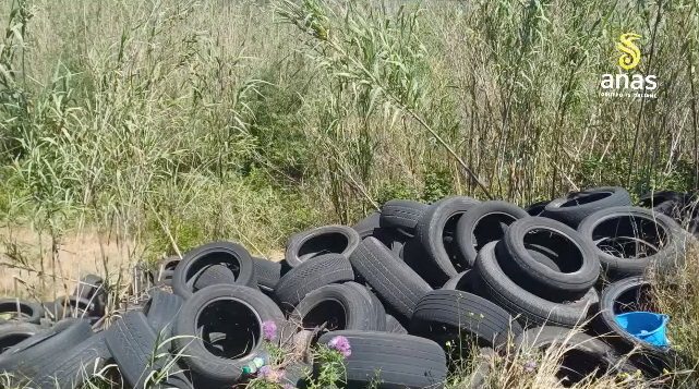 Catanzaro, bonifiche ambientali su SS 280 e SS 18: rimossi rifiuti e pneumatici abbandonati - Foto: Uff. Stampa Anas