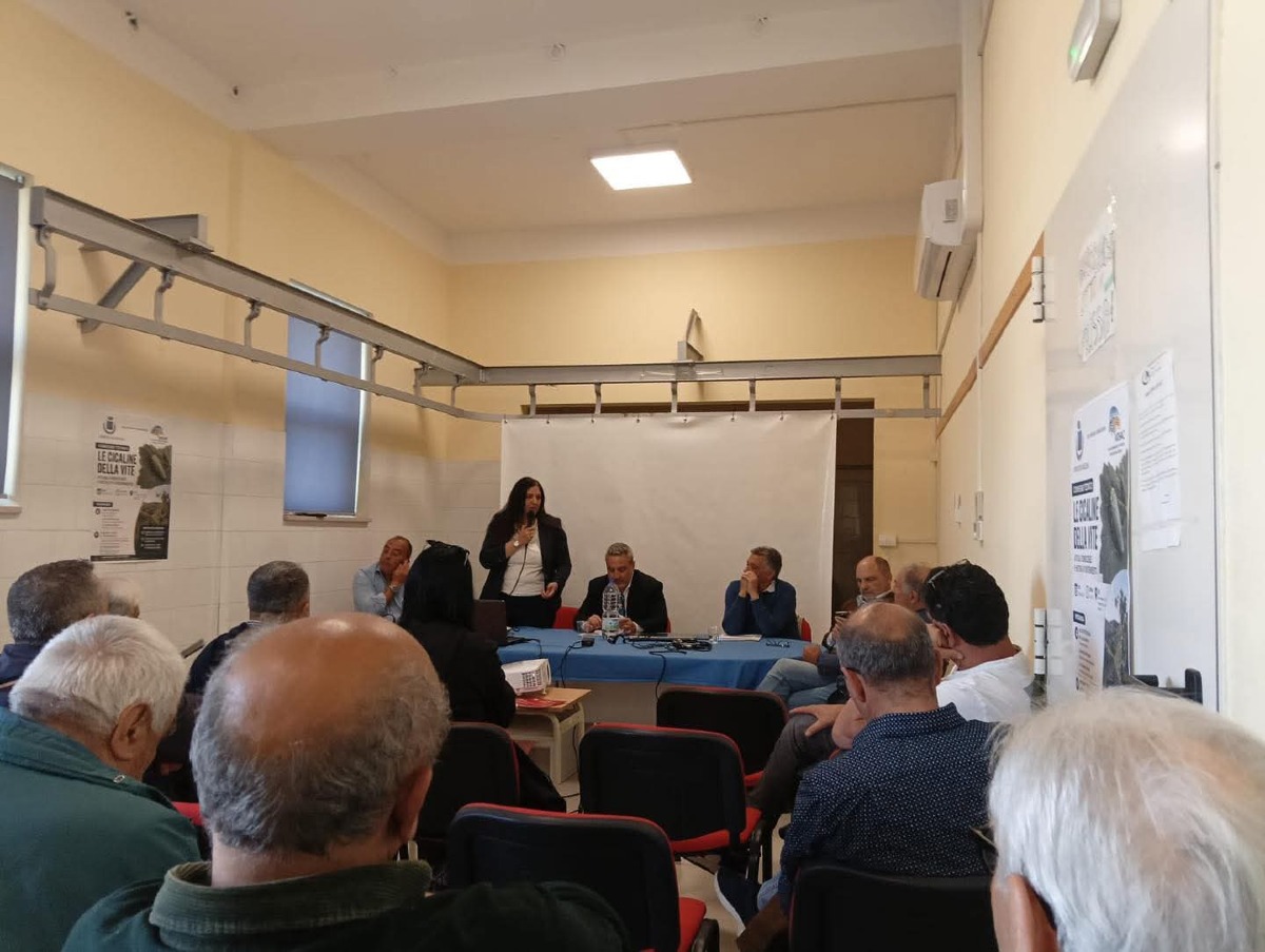 Convegno sulle cicaline della vite a Melissa - Foto: Uff. Stampa Comune di Melissa