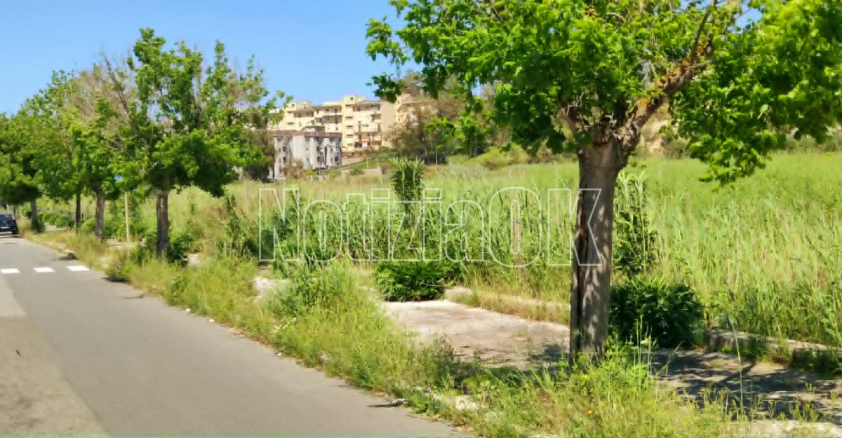 Nei quartieri di Crotone - Degrado in via Giovanni Paolo II: marciapiedi invasi dal verde  - Foto: Redazione