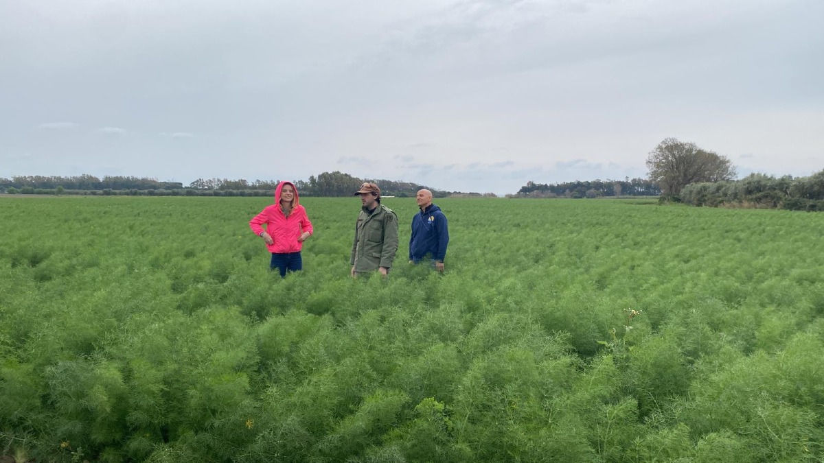 Crotone e la sua provincia in diretta su RAI 1 a "Linea Verde Illumina – Sport e Salute" - Foto: Uff. Stampa Regione Calabria