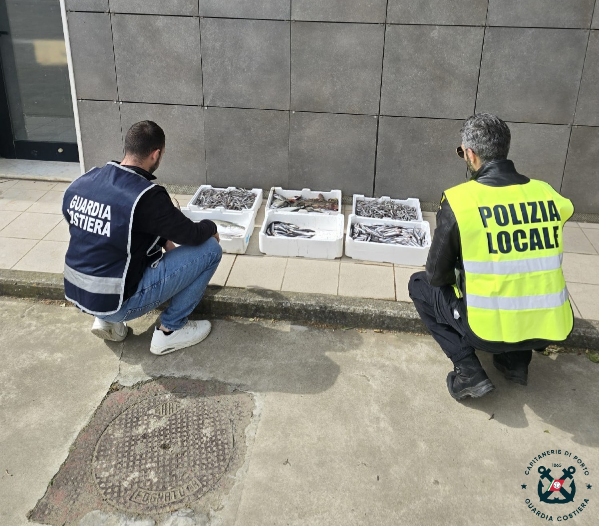 Controlli sulla filiera della pesca: sequestrati 28 kg di prodotti ittici  - Foto: Uff. Stampa Capitaneria di Porto di Crotone