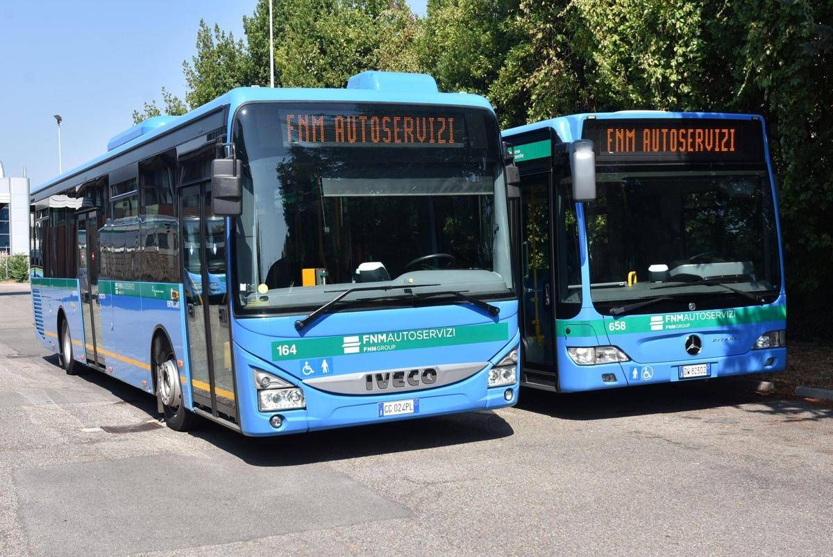 Fnma assume autisti, costi patente a carico azienda e premio di 3.000 euro - 