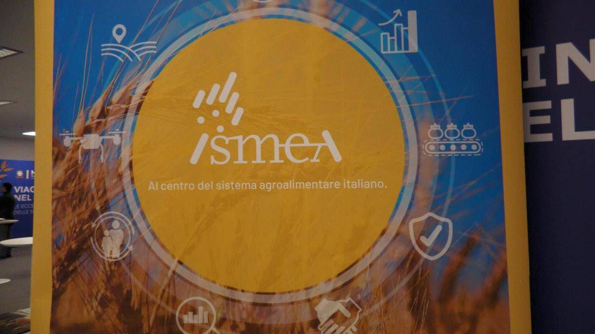 Vinitaly, vino italiano leader: focus su mercati esteri e nuovo bando OCM Promozione - 