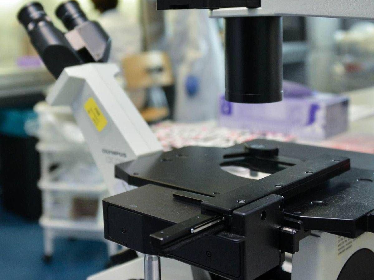 Così i tumori perdono il dono dell'invisibilità, la nuova strategia in una ricerca italiana - 