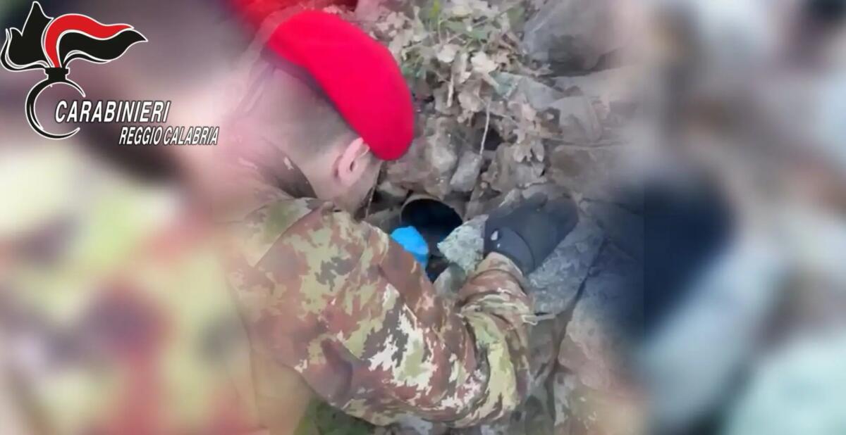 Armi nascoste tra le pietre, scoperto un deposito clandestino in Aspromonte - 