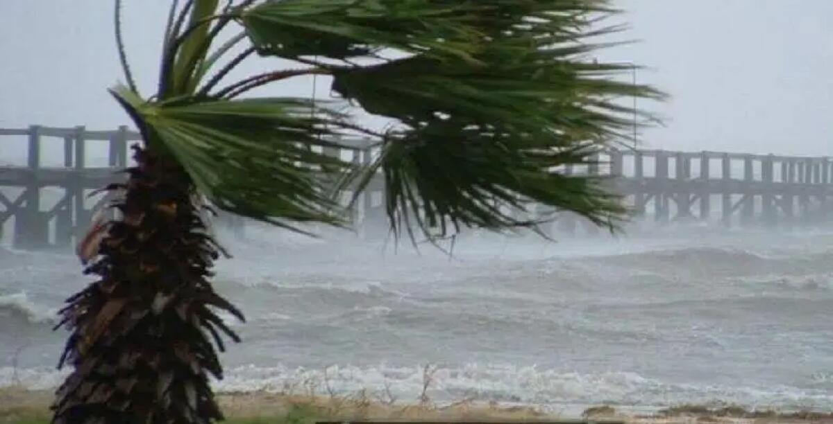 Maltempo, Regione Calabria chiede riconoscimento stato calamità comparto agricolo Alto Ionio - 