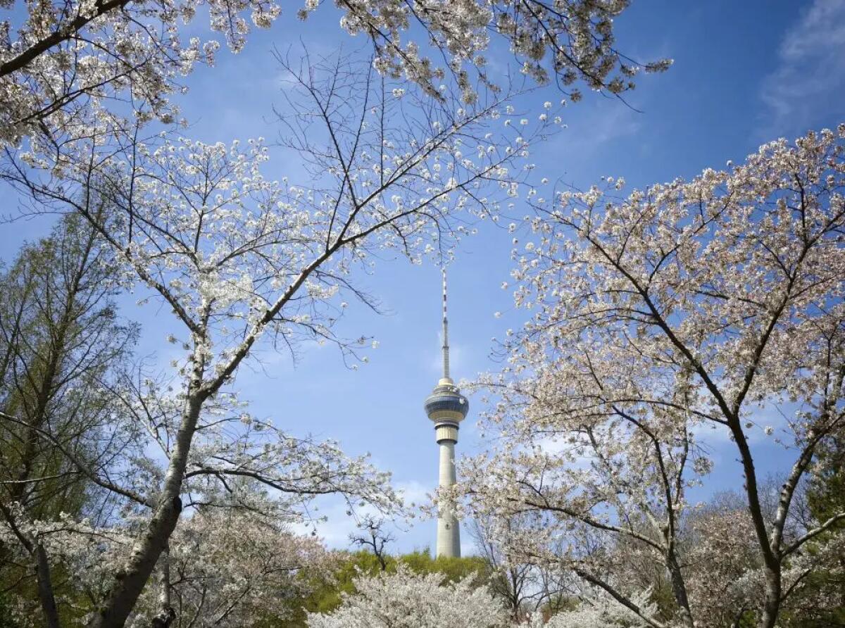 Pechino, quasi eliminate le giornate con livello “grave” di inquinamento - 