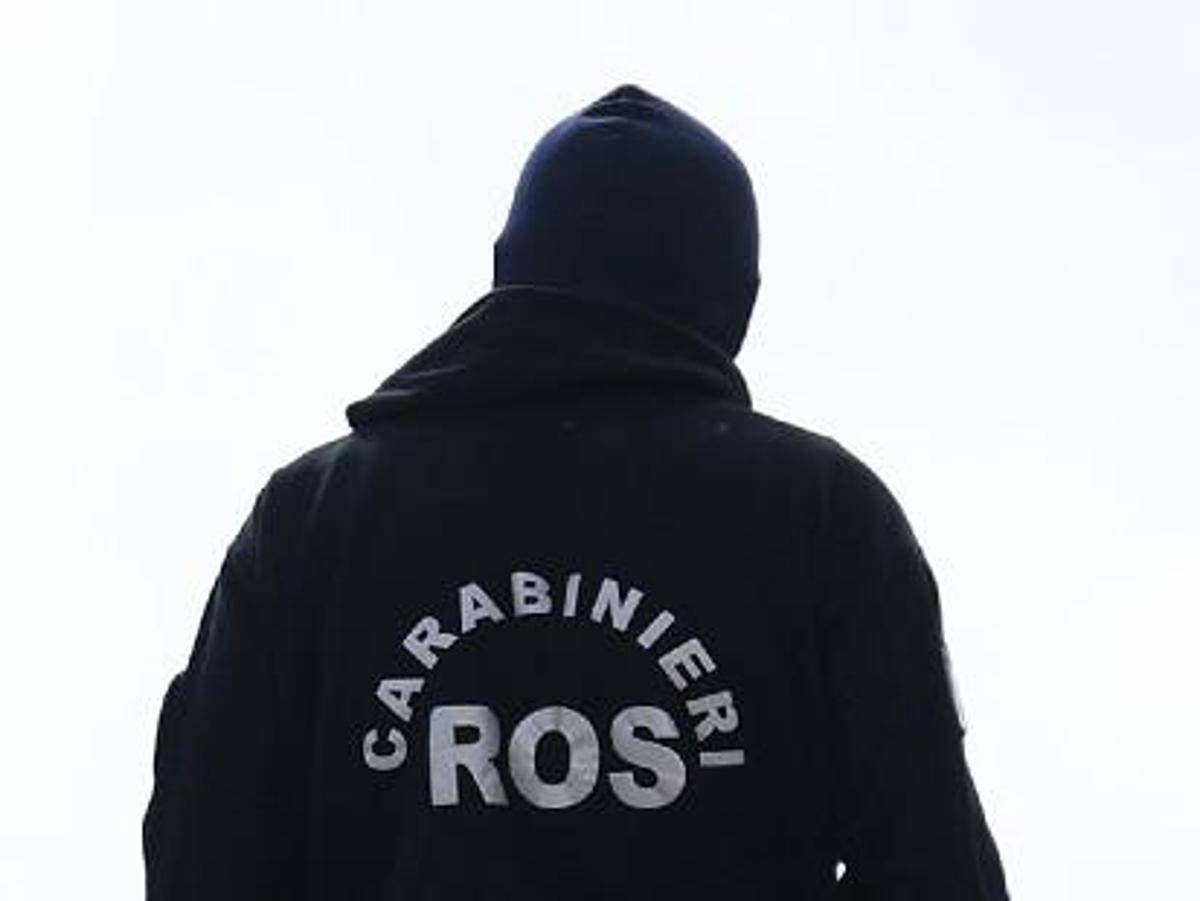 Dossieraggi, inchiesta Roma su 'Squadra Fiore': in corso perquisizioni - 