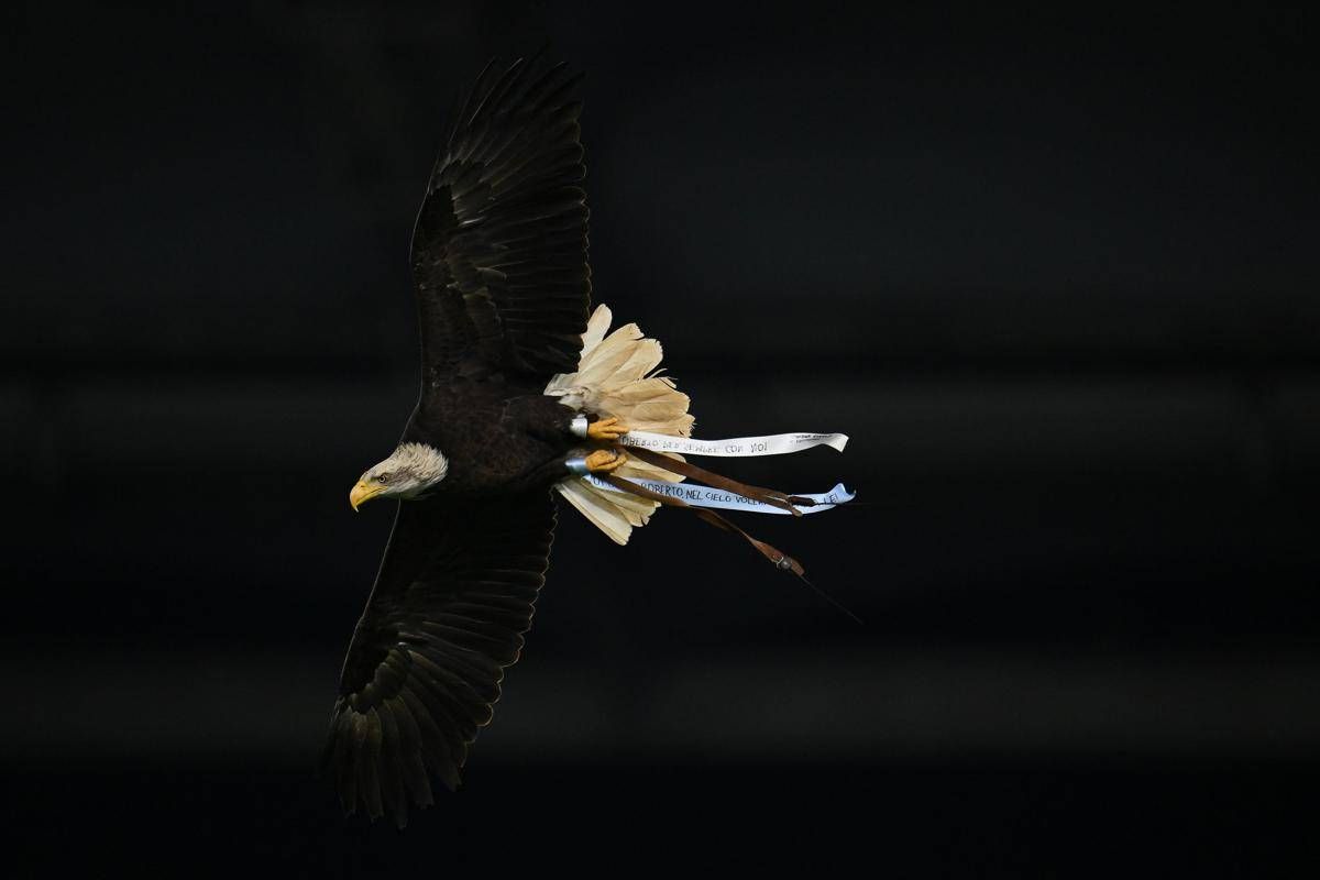 Lazio, Flaminia vola ma... sbaglia strada: atterraggio in Monte Mario - 