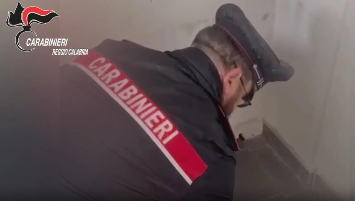 Arsenale nascosto in un bunker segreto nella Piana di Gioia Tauro, un arresto - 