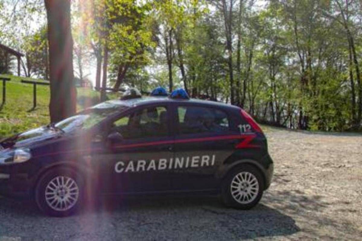 Pavia, cadavere di una ragazza trovato nei campi - 