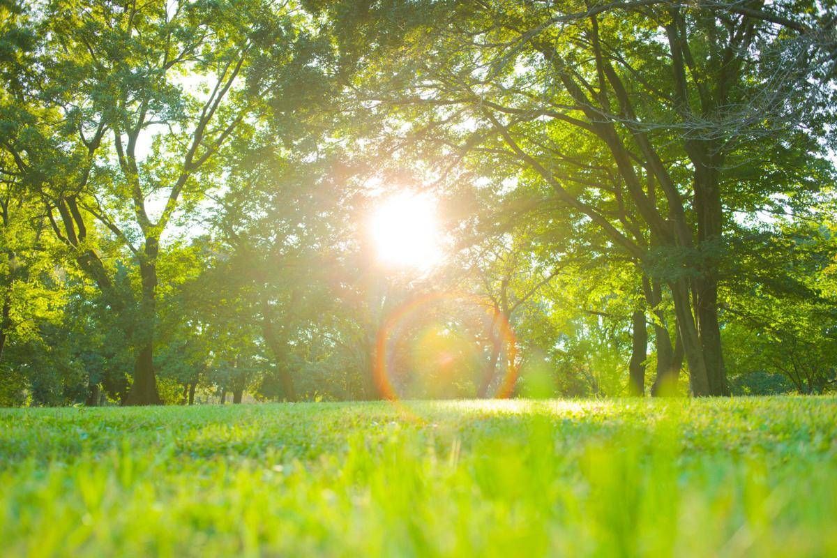 Pasqua e Pasquetta con sbalzo termico, caldo (quasi) estivo e rischio valanghe: le previsioni meteo - 