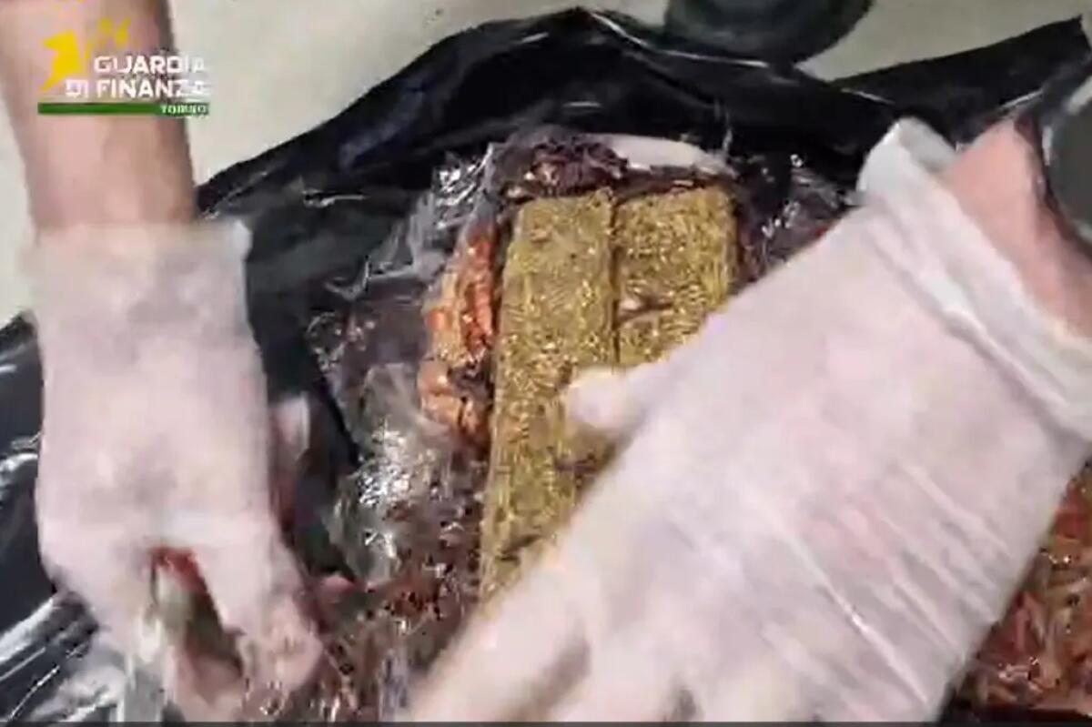 Dalla Spagna con 9 Kg di droga, arrestata 28enne nigeriana - 