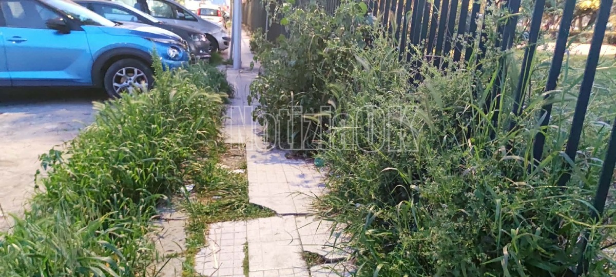 Marciapiedi - Via Bologna (Redazione  - 08.04.2026)