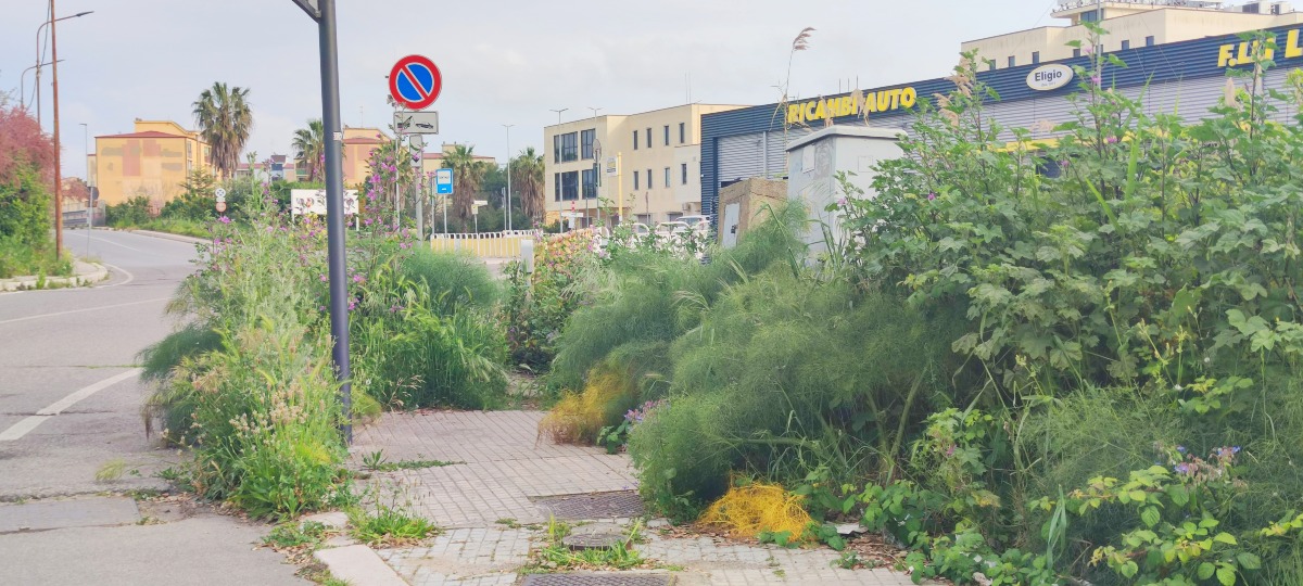 Viale stazione - Marciapiedi (Redazione - 12.04.2026)