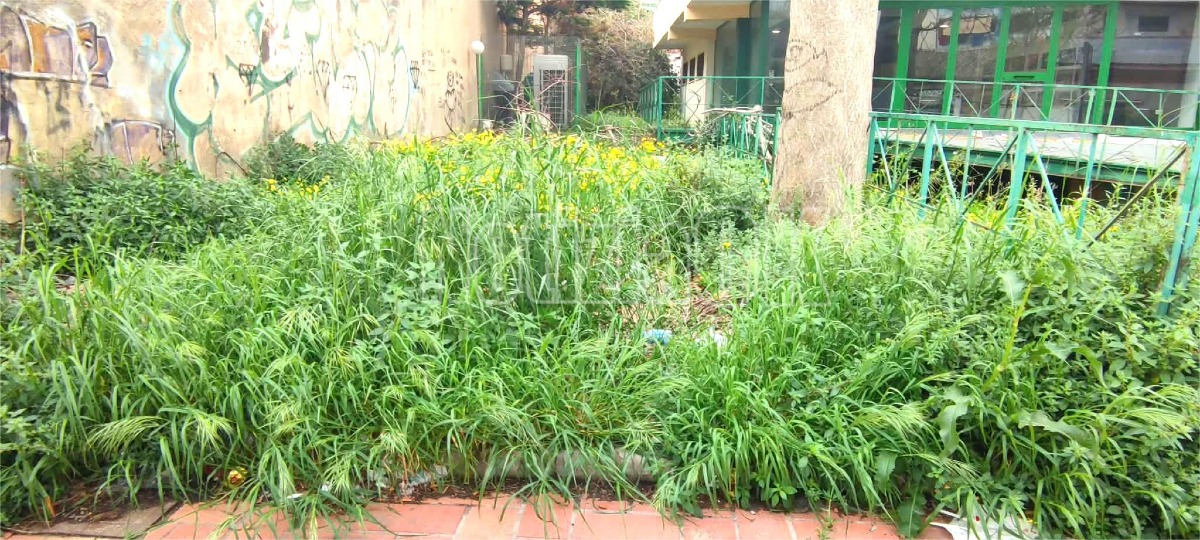 Via Mario Nicoletta - Palazzo Foti (Redazione 14.04.2026)