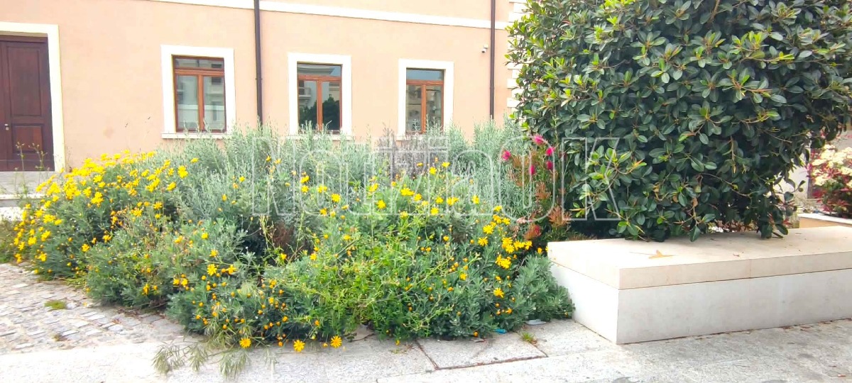 Teatro Scaramuzza - Verde Pubblico (Redazione - 16.04.2026)