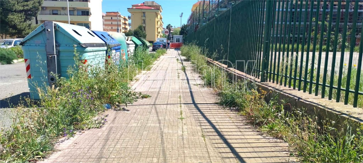 Via Luigi Pirandello - Erba alta (Redazione - 20.04.2026)