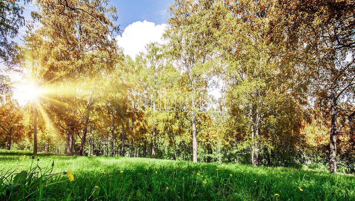 Simeri Crichi affida in concessione il Parco Homo Morto: via al bando - Foto: Redazione 