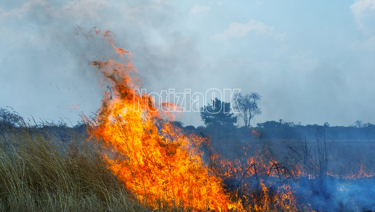 Vaccarizzo - Prevenzione incendi, obbligo pulizia terreni in 15 giorni - Foto: Redazione