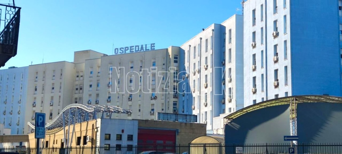 “Oltre l’assenza”: all’Asp di Crotone nasce il gruppo gratuito di ascolto per affrontare il lutto - Foto: Redazione